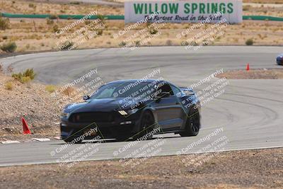 media/Oct-25-2025-West Coast Racing (Sat) [[9fdcbcd09c]]/Green group/Turn 3/